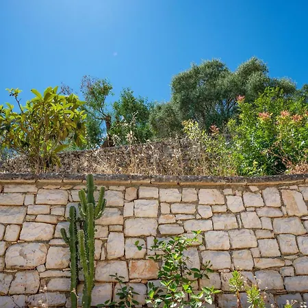 Apartment Takis House *