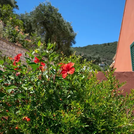 Takis House Apartment Katavolos