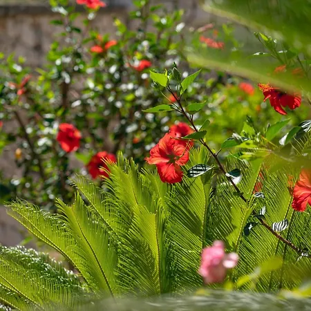 Takis House Katavolos