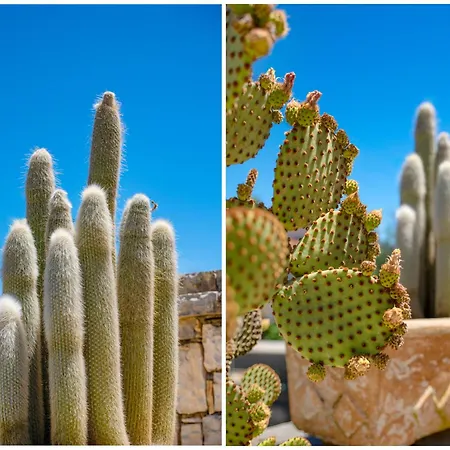 Takis House アパート Katávolos