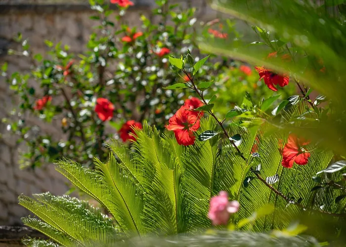 Takis House Katávolos