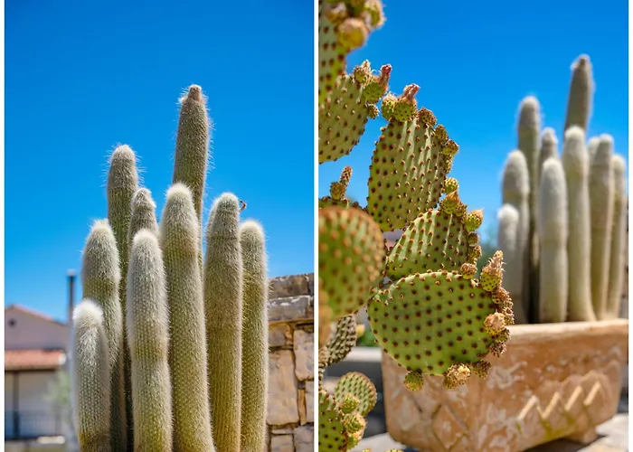 Takis House Lejlighed Katávolos